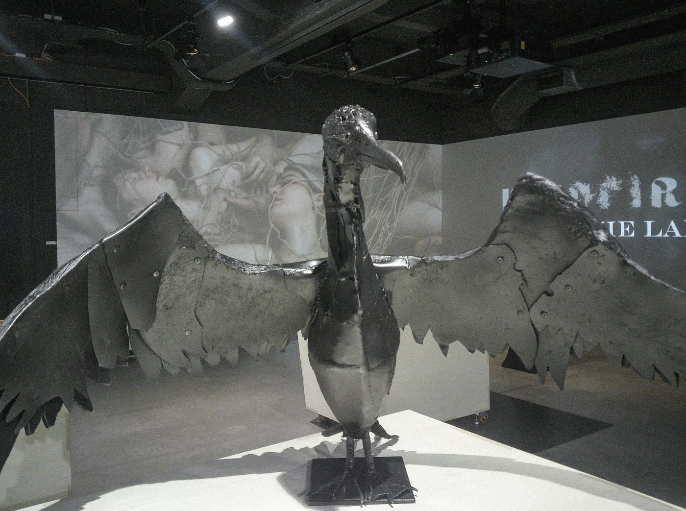 The bird, wings open